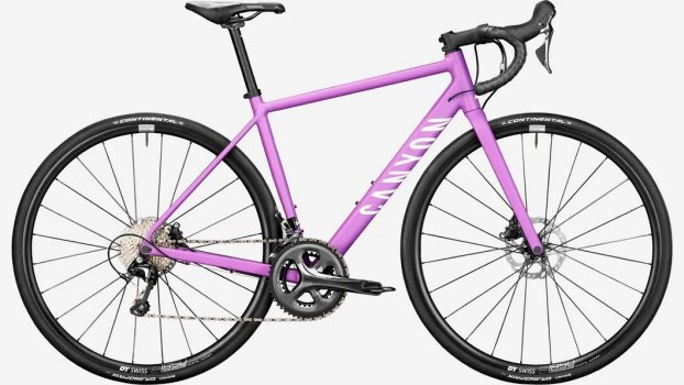 Canyon Endurace 6 WMN Disc