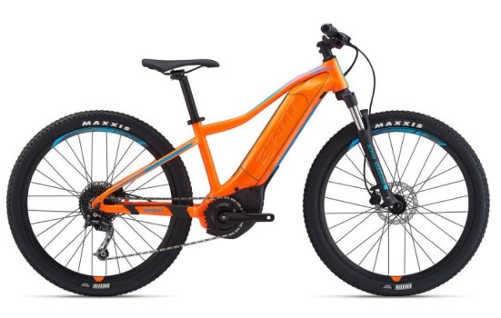 Giant FATHOM E Plus JUNIOR 2024