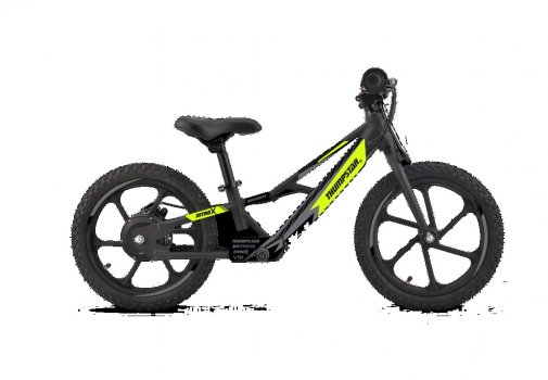Thumpstar TSE 16