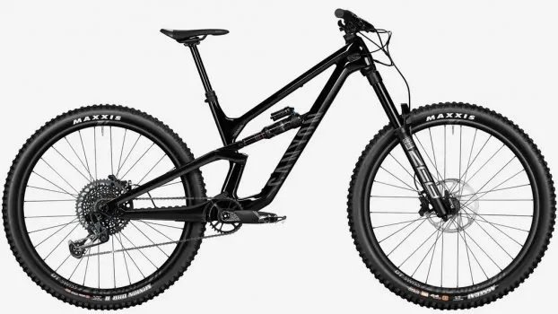 canyon torque on ebike