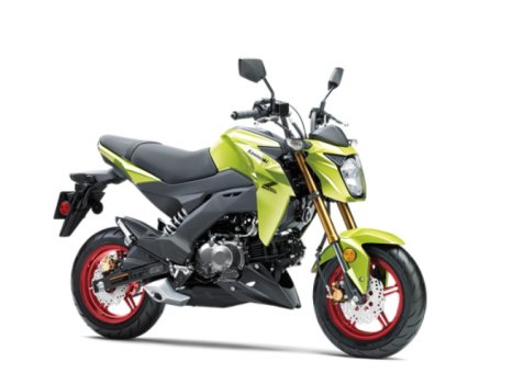 Ｚ125PRO NASSERT-Ｒ　EVOLUTION TYPE 2 Kawasaki Z125 PRO 2026 Price In India - Fasterwheeler In