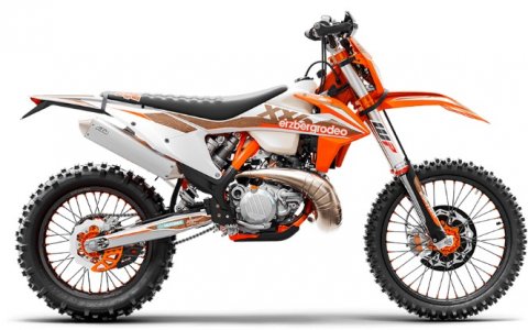 KTM 300 EXC TPI ERZBERGRODEO 2021
