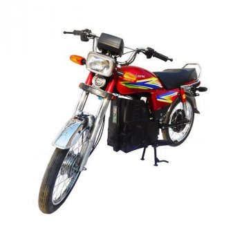 Road King Electric Bike