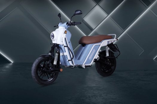 eBikeGo Rugged G1 Plus