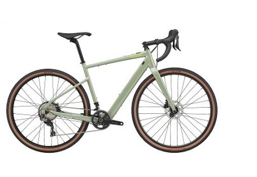 Cannondale Topstone Neo SL 1