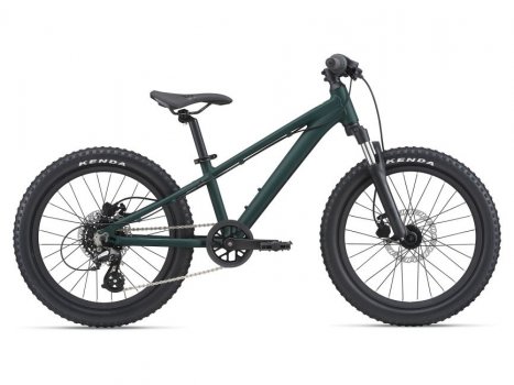 Giant STP 20 FS 2022