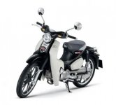 Honda Cub C125 2024