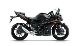 Suzuki GSX-250R 2024