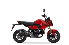 Honda GROM 2026