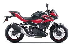 KAWASAKI Z500 2027