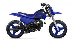 Yamaha PW50 2023