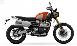 Triumph SCRAMBLER 1200 XE GOLD LINE 2022