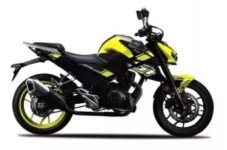 FKM Street Fighter 165cc 2023