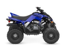 Yamaha RAPTOR 110 2025