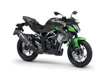 KAWASAKI Z125 Performance