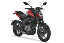 CFMoto 300NK 2024