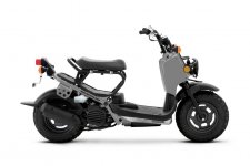Honda RUCKUS 2023