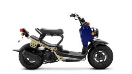 Honda RUCKUS 2022