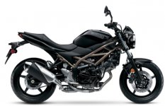 Suzuki SV650 2021