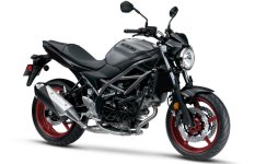 Suzuki SV650 2023