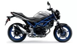 Suzuki sv650 2022