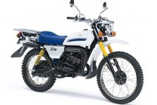 Suzuki TF125 2021