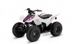 Honda TRX90X 2023