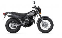 Yamaha TW200 2022