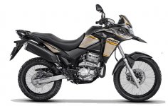 Honda XRE 300 ADVENTURE 2022