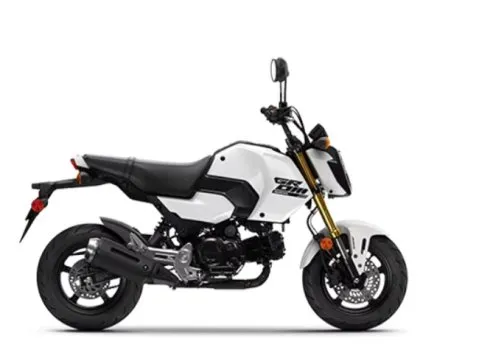 Honda GROM ABS 2026 Price In South Africa - Fasterwheeler Za