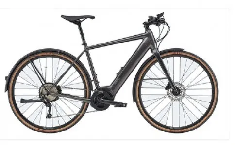 cannondale quick neo