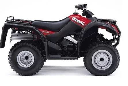 suzuki 250 off road